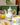 Coffee Pot Limoeiro - Tania Bulhões