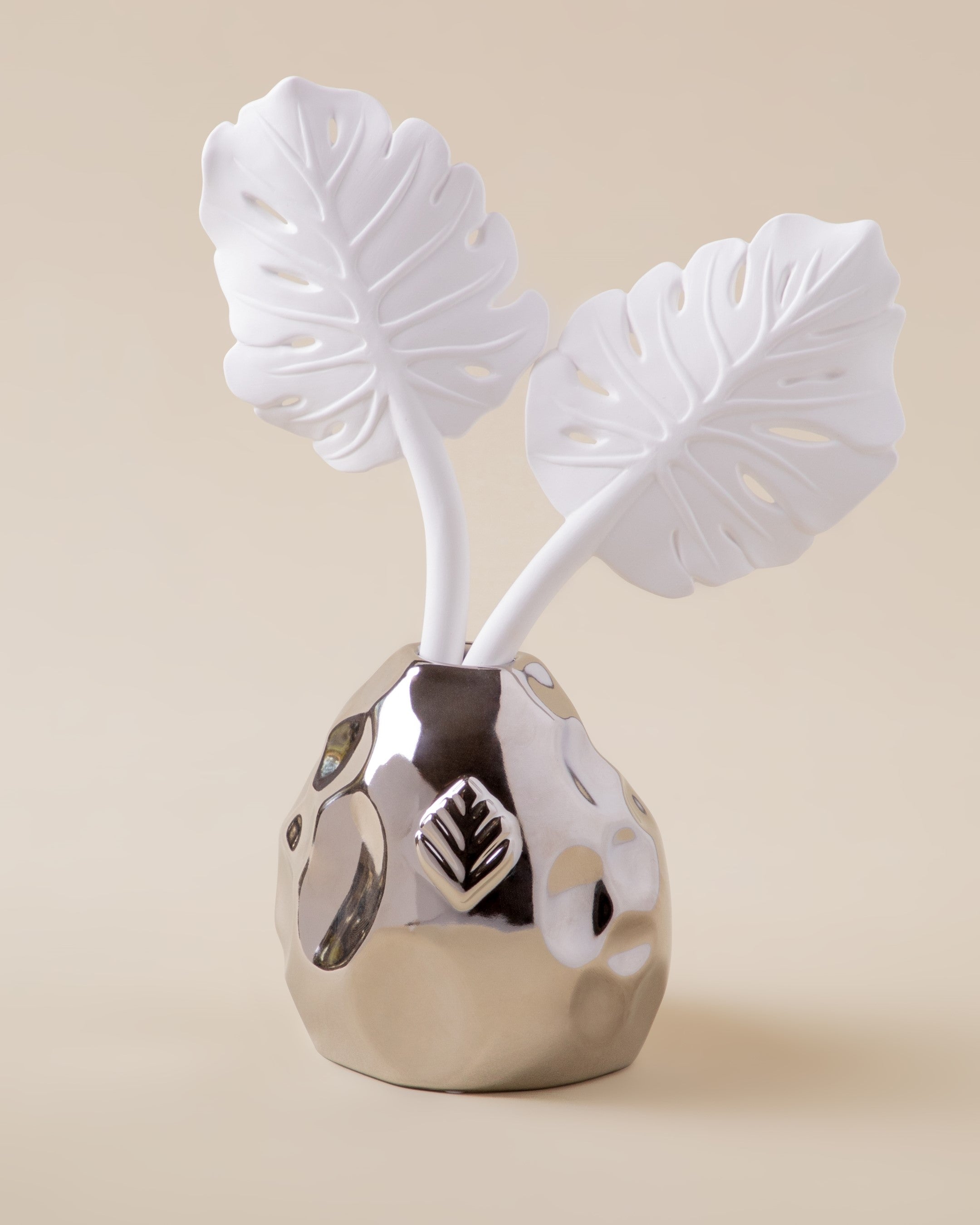 Diffuser Folha de Costela Adao Silver