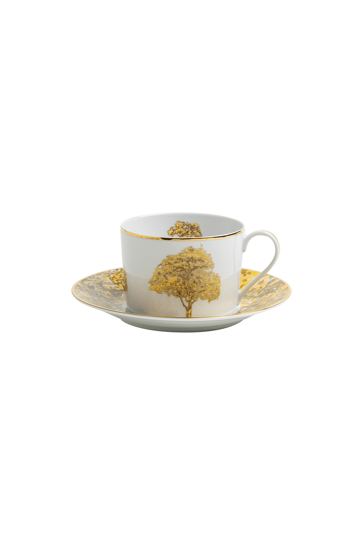 Tea Cup and Saucer Arvores do Brasil (4)