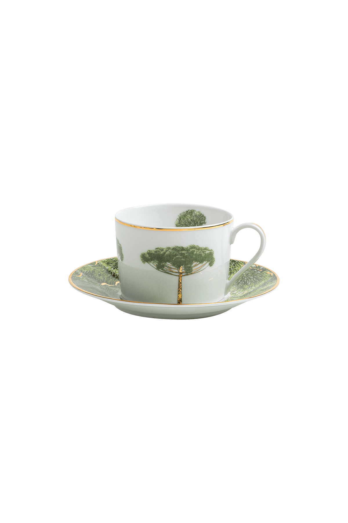 Tea Cup and Saucer Arvores do Brasil (4)