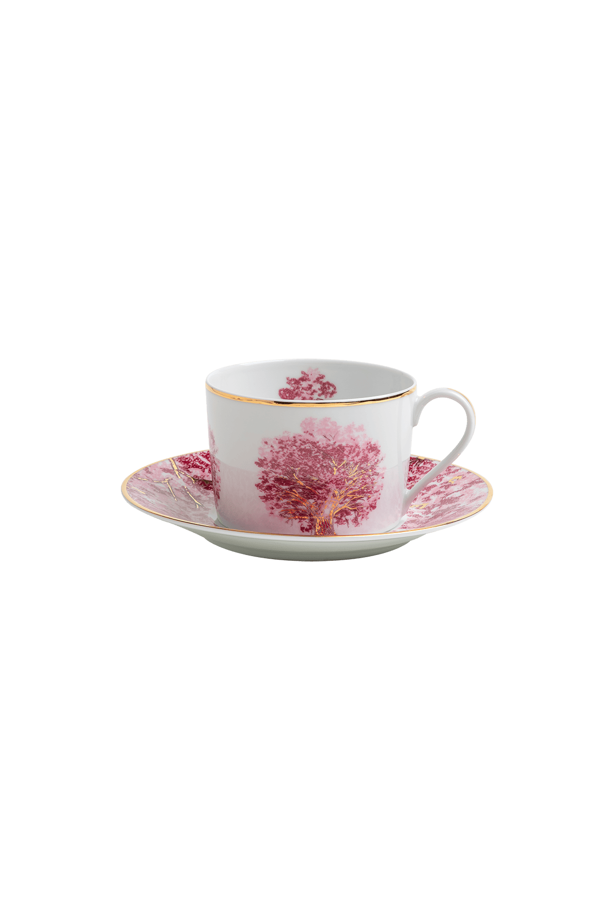 Tea Cup and Saucer Arvores do Brasil (4)