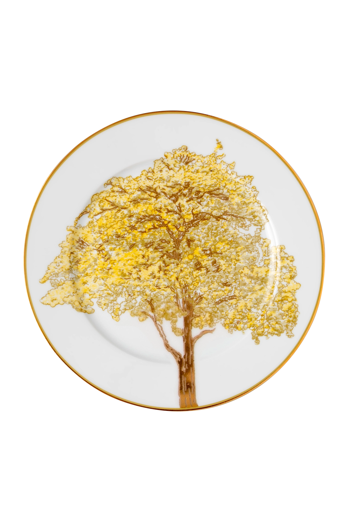 Assiette plate Arvores do Brasil (4)