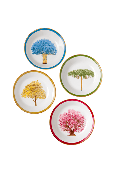 Soup Plate Arvores do Brasil (4)