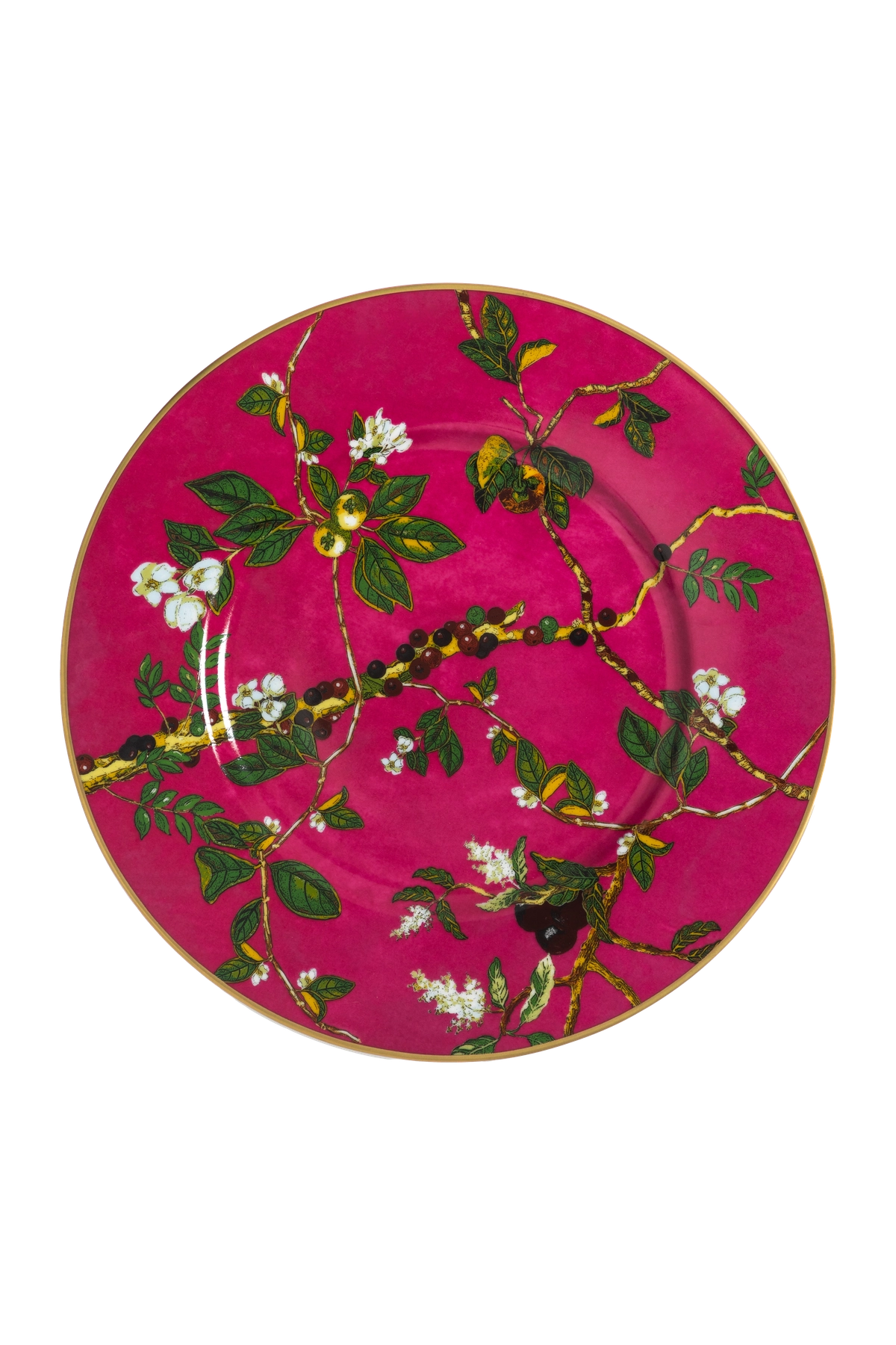 Charger Passaros do Brasil Pink