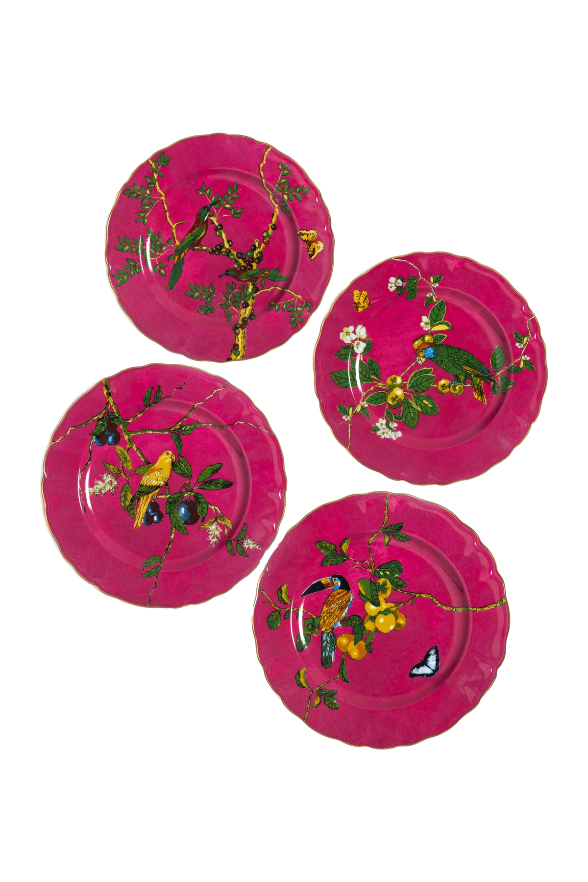 Dinner Plate Passaros do Brasil Pink (4)