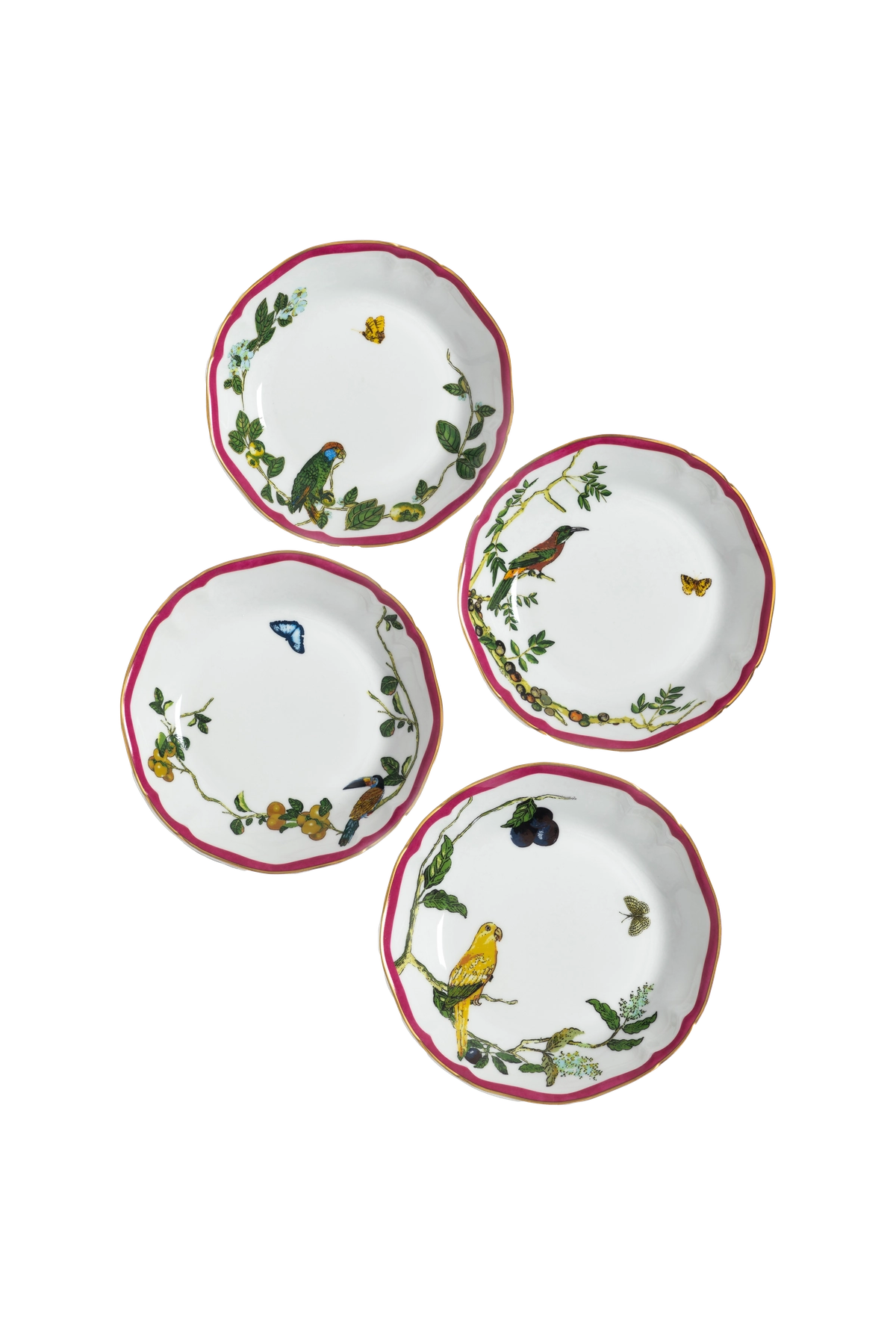 Soup Plate Passaros do Brasil Pink (4)