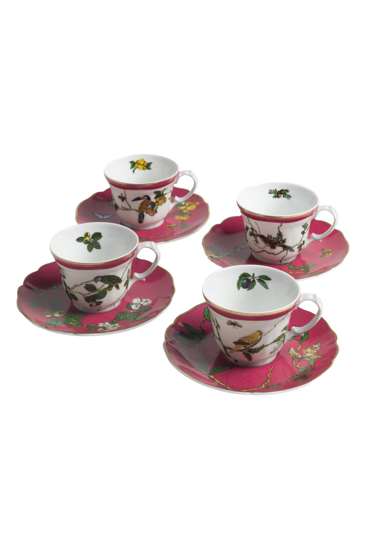 Espresso Cup and Saucer Passaros do Brasil Pink (4)