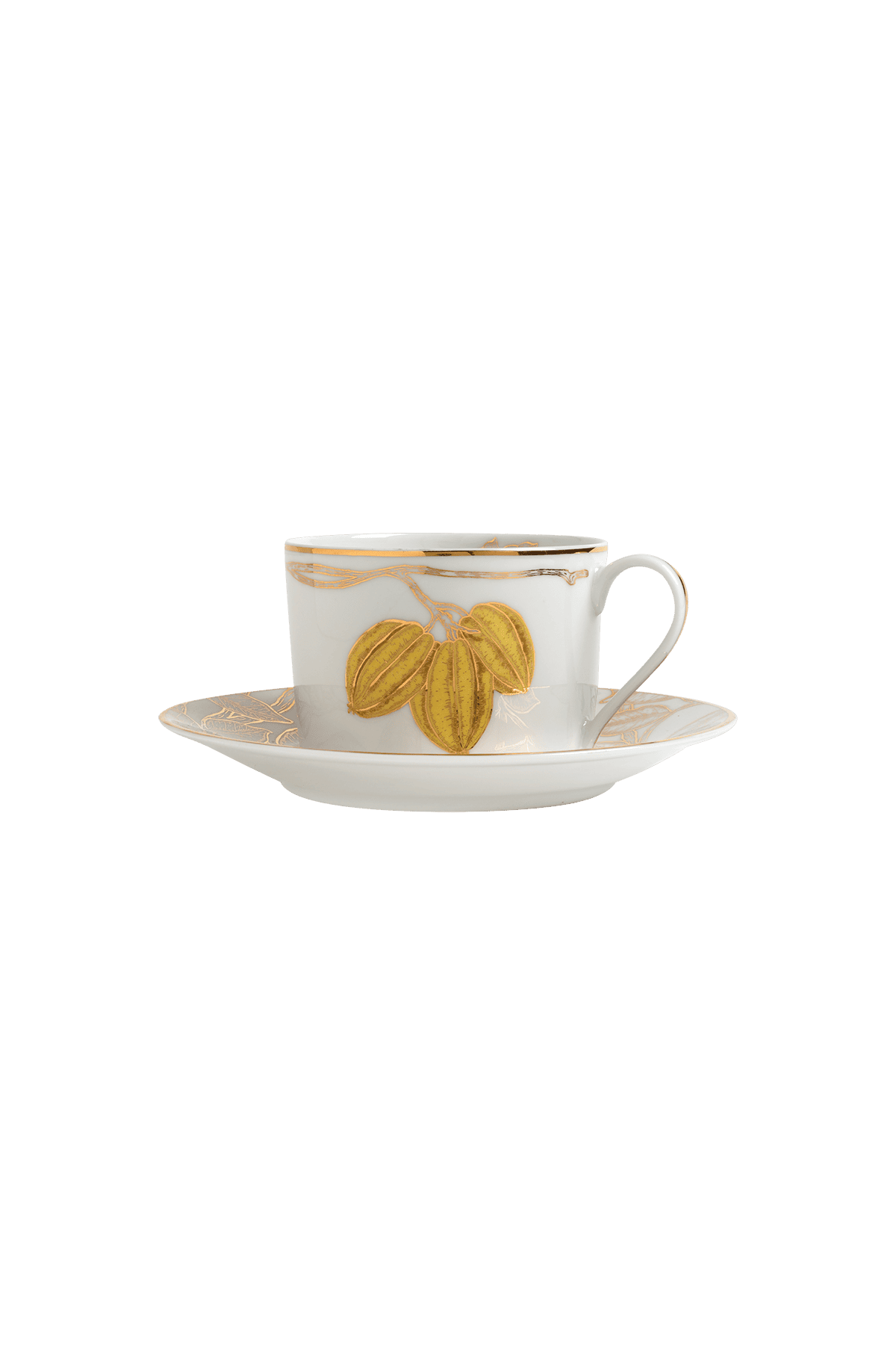 Tea Cup and Saucer Frutas do Brasil (4)
