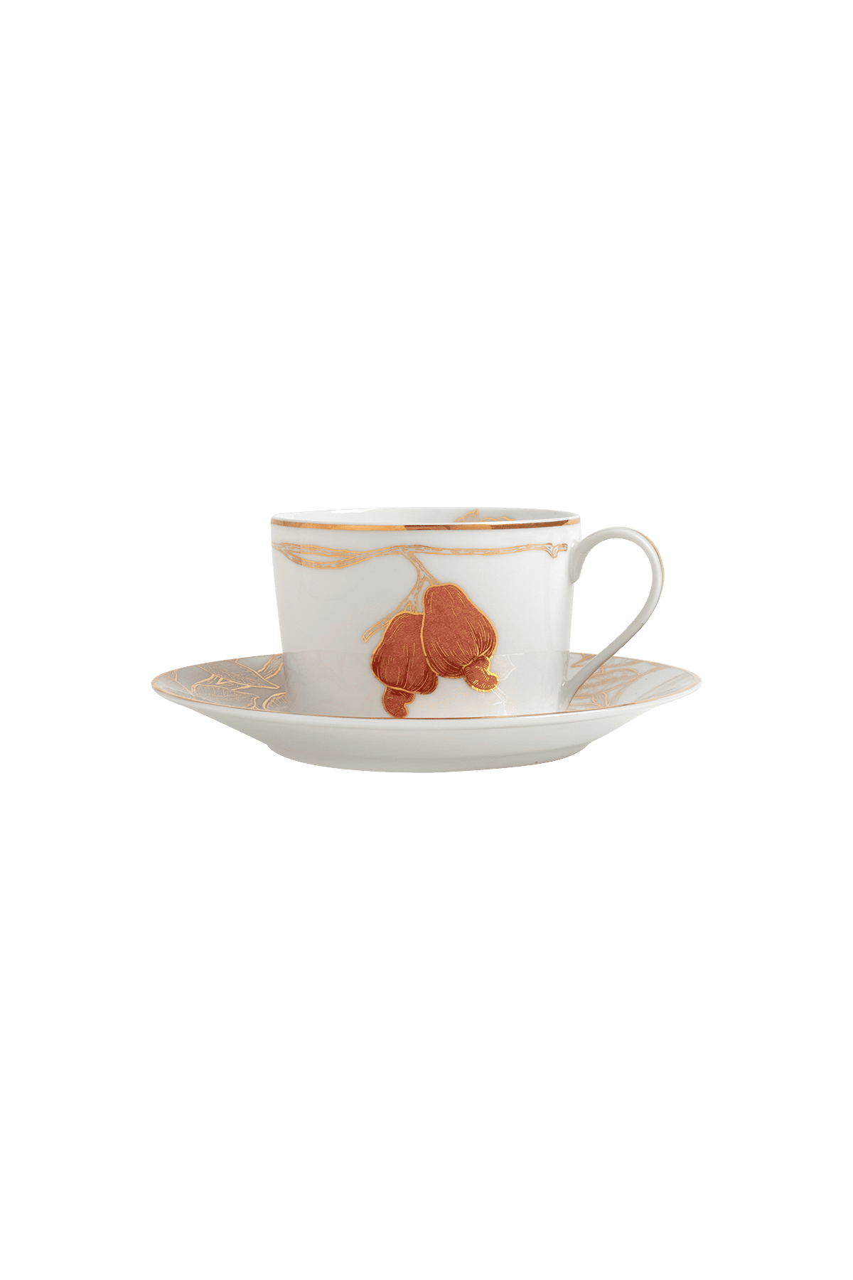 Tea Cup and Saucer Frutas do Brasil (4)