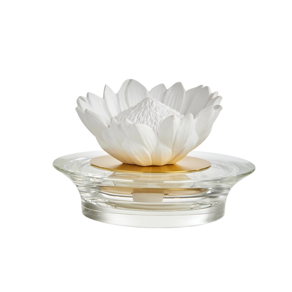 Diffuser Protea
