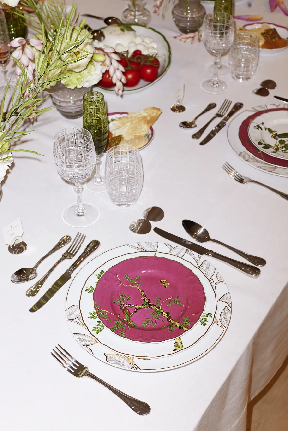 Dinner Plate Passaros do Brasil Pink (4)
