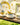 Tea Cup and Saucer Borboletas Yellow
