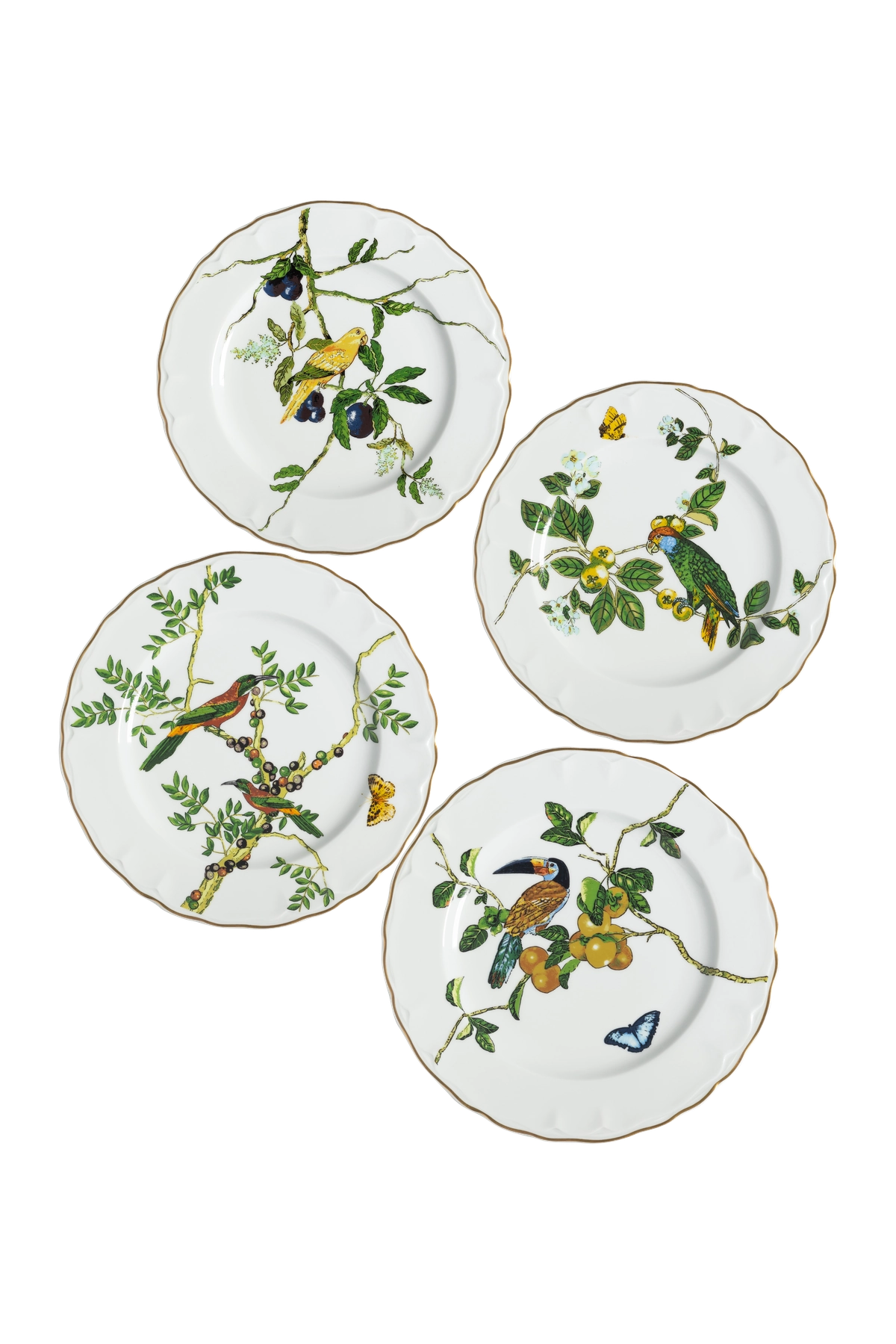 Dinner Plate Passaros do Brasil (4)