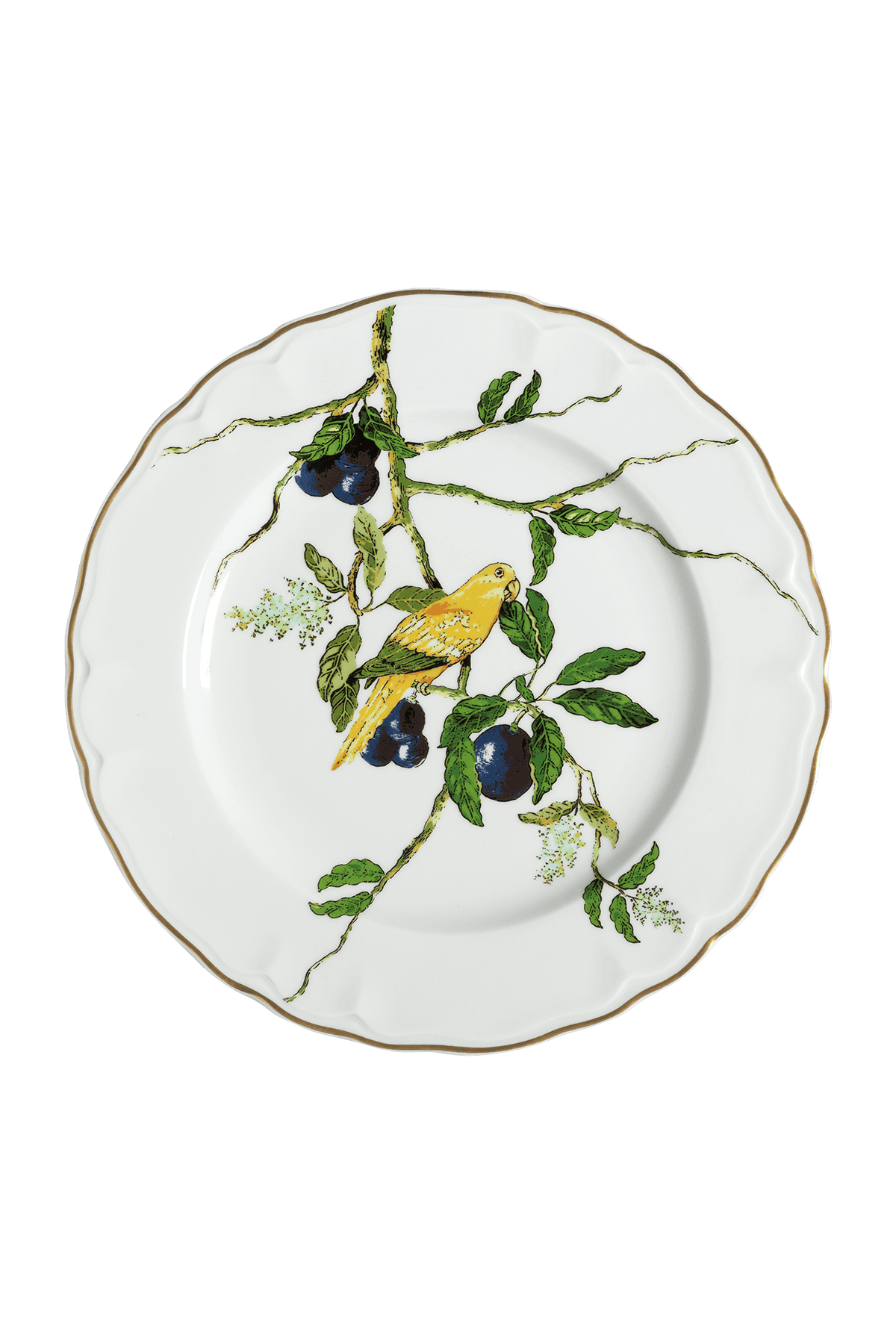 Dinner Plate Passaros do Brasil (4)