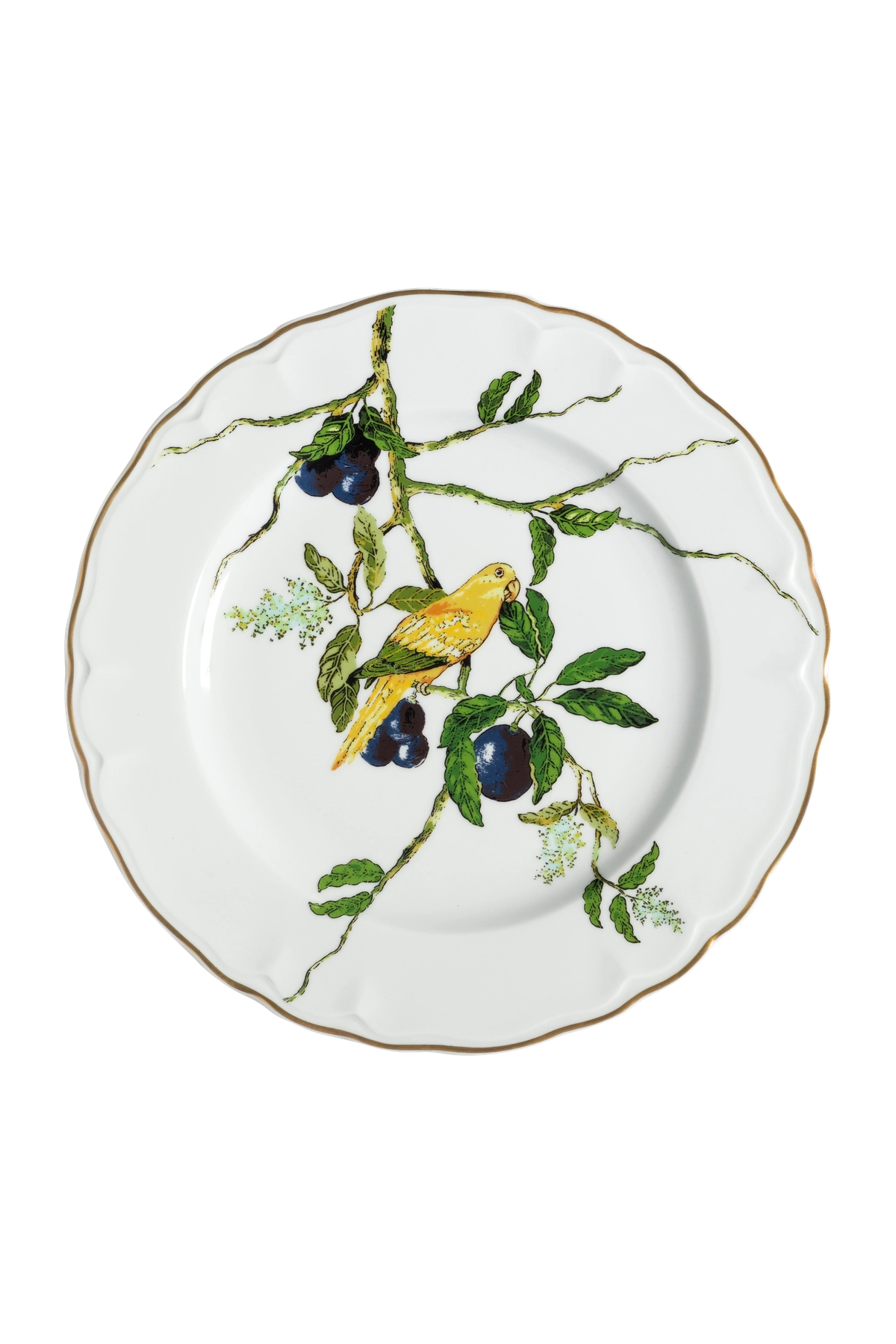 Dinner Plate Passaros do Brasil (4)