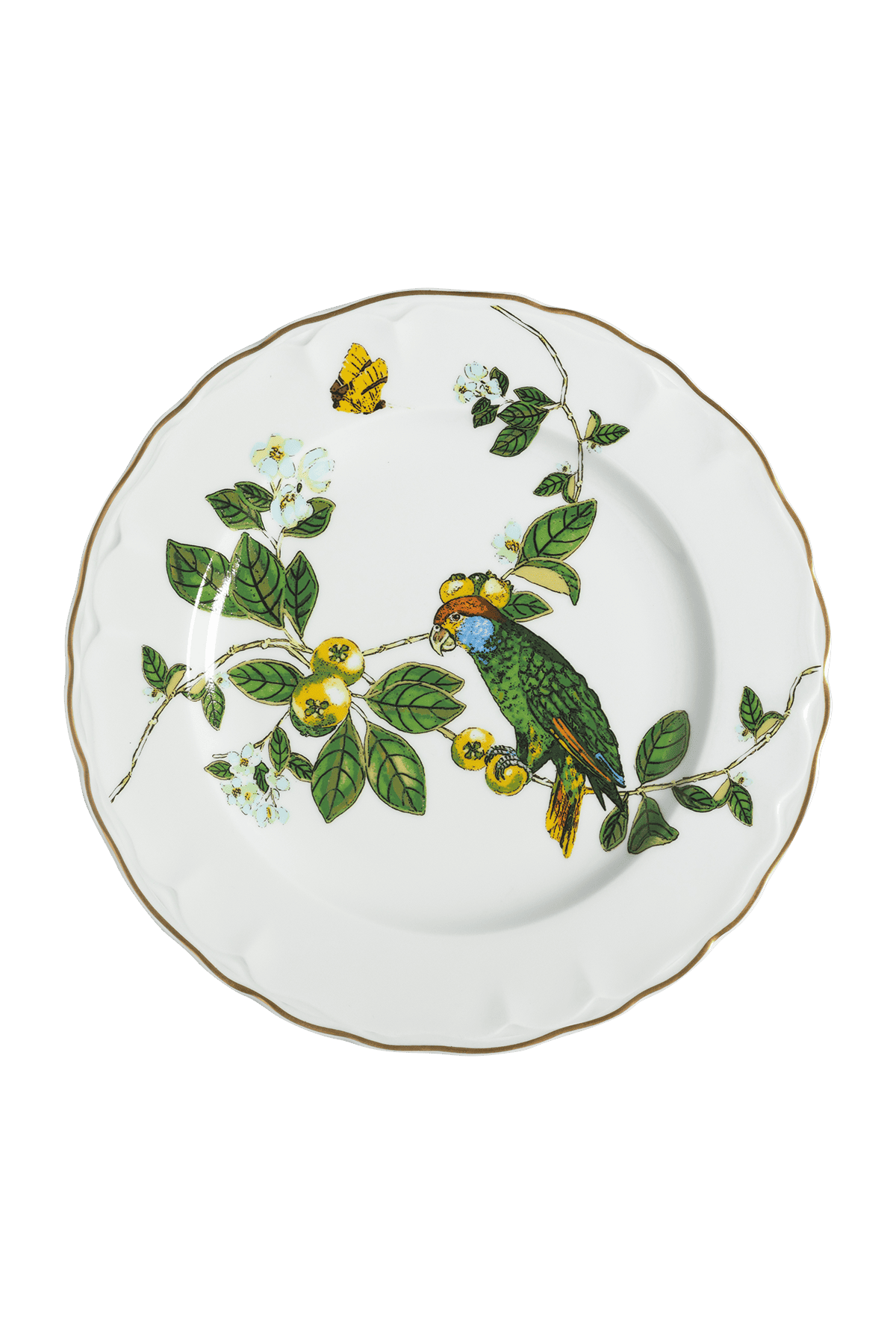 Dinner Plate Passaros do Brasil (4)