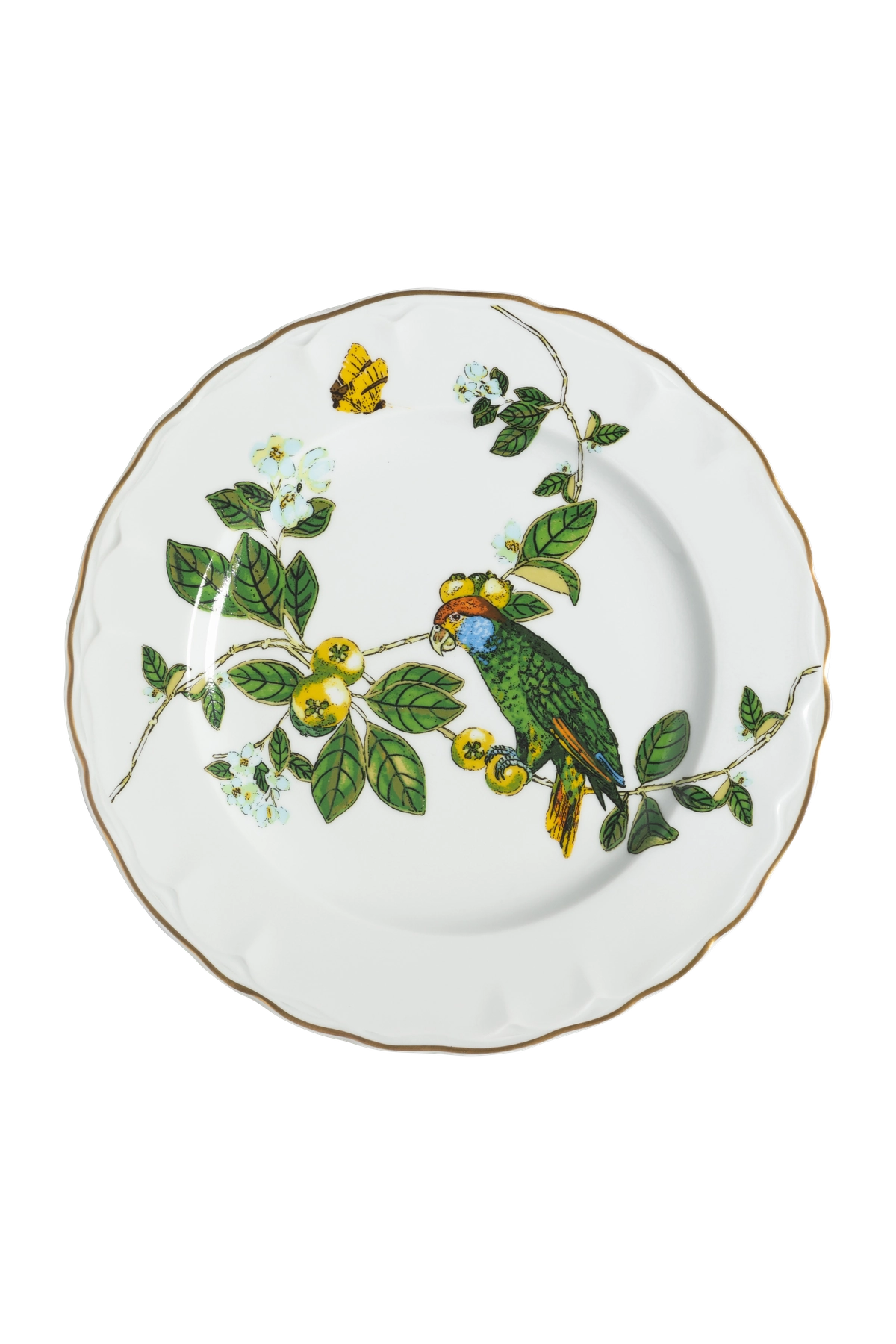 Dinner Plate Passaros do Brasil (4)