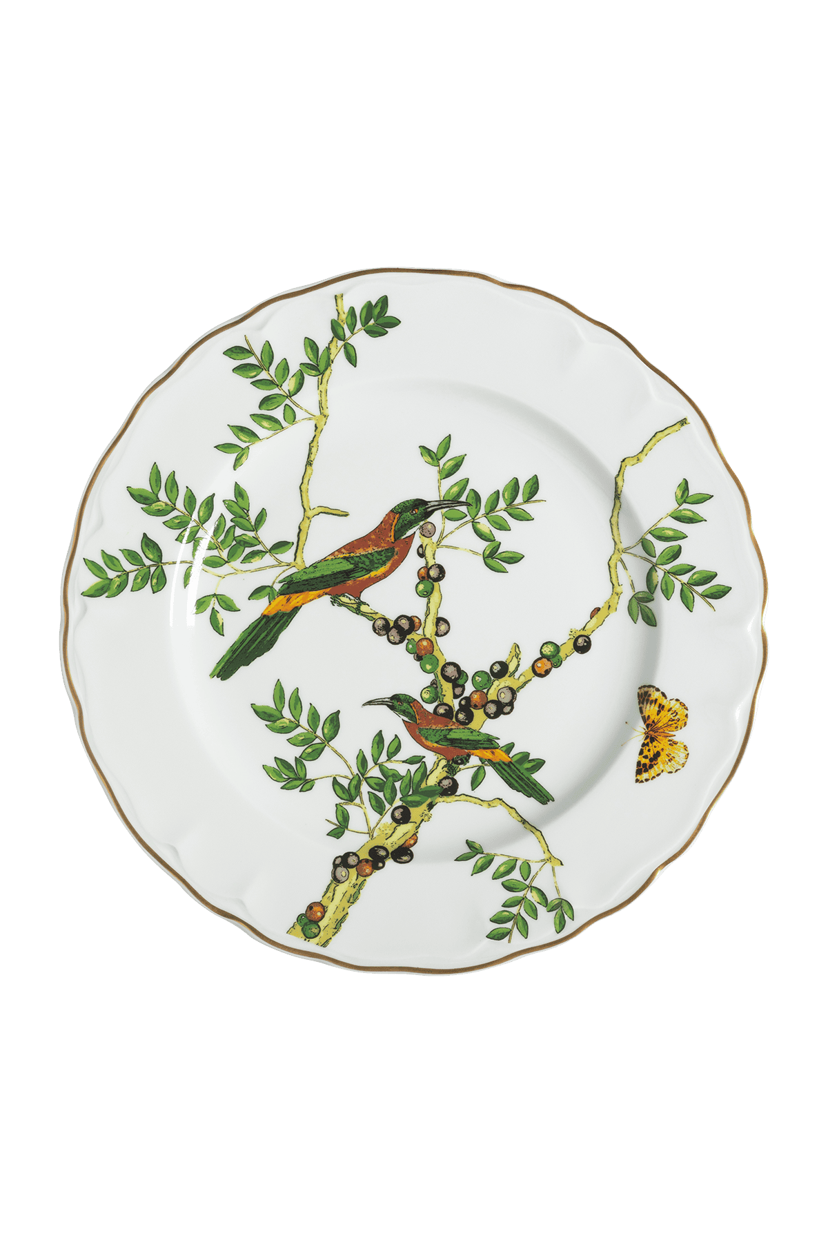 Dinner Plate Passaros do Brasil (4)
