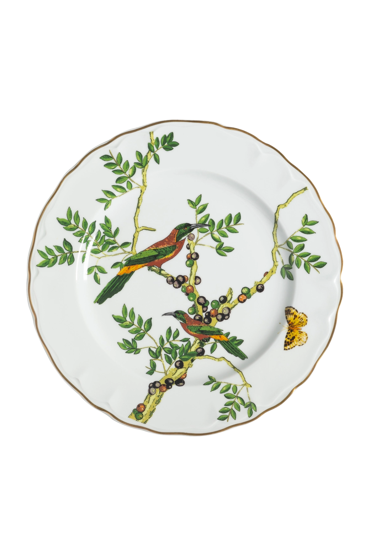 Dinner Plate Passaros do Brasil (4)