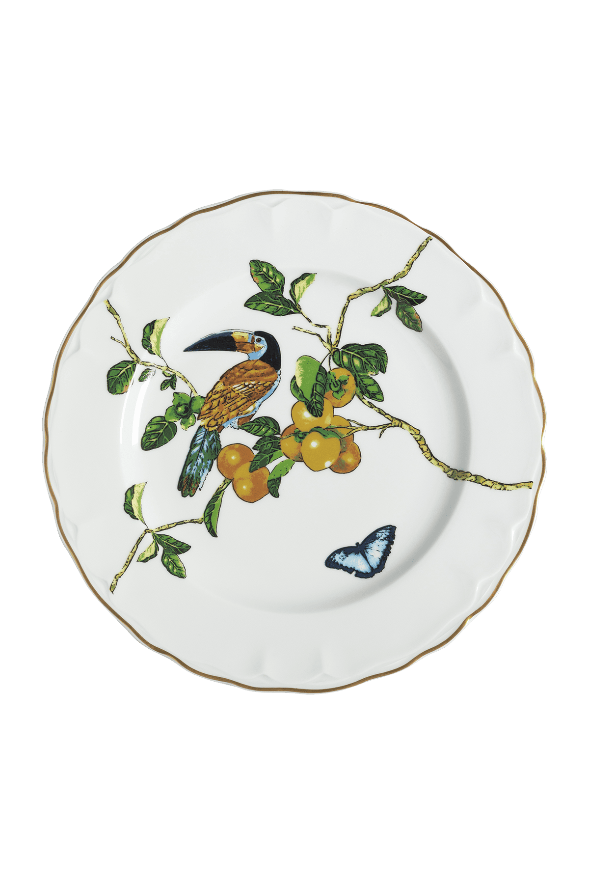 Dinner Plate Passaros do Brasil (4)