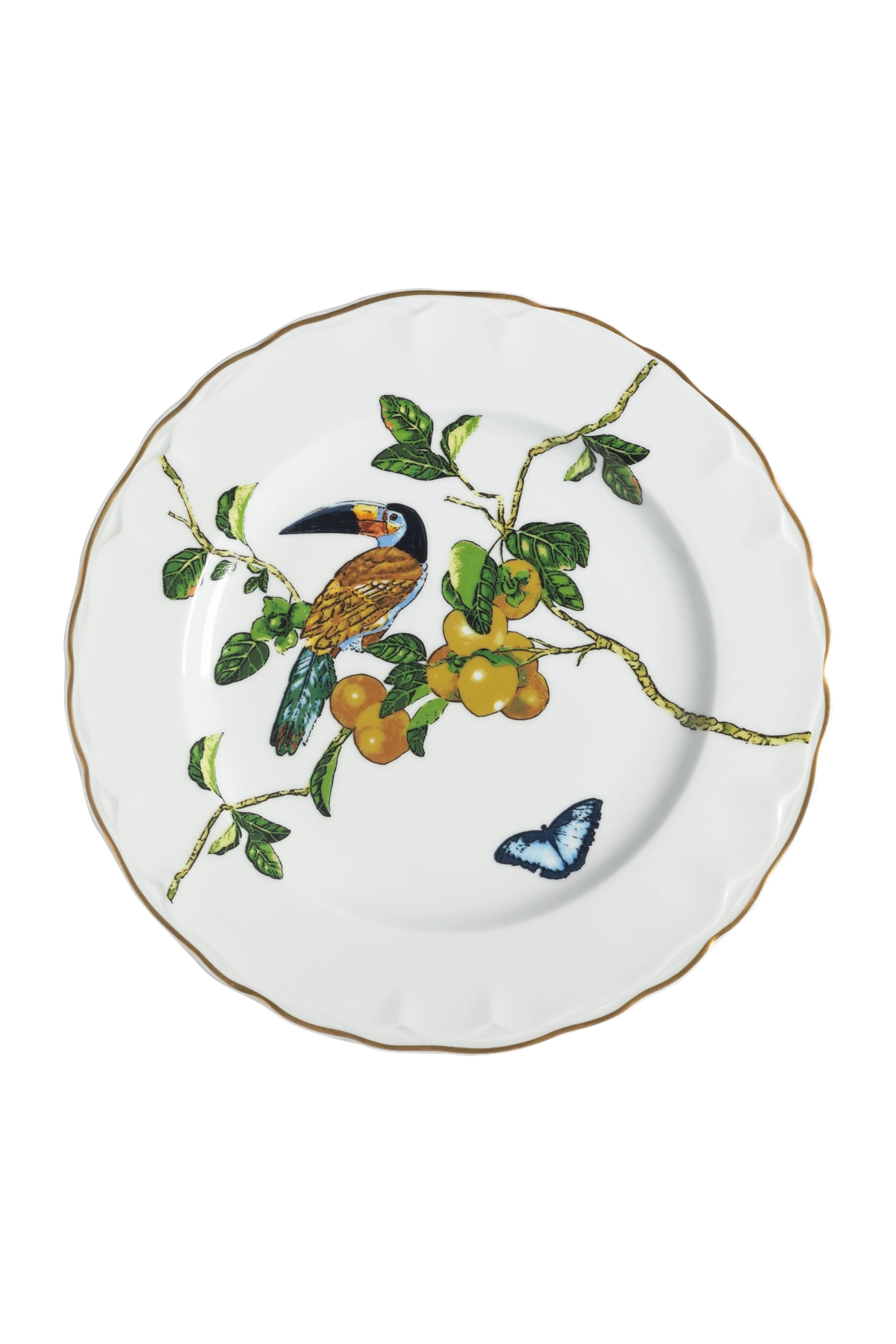 Dinner Plate Passaros do Brasil (4)