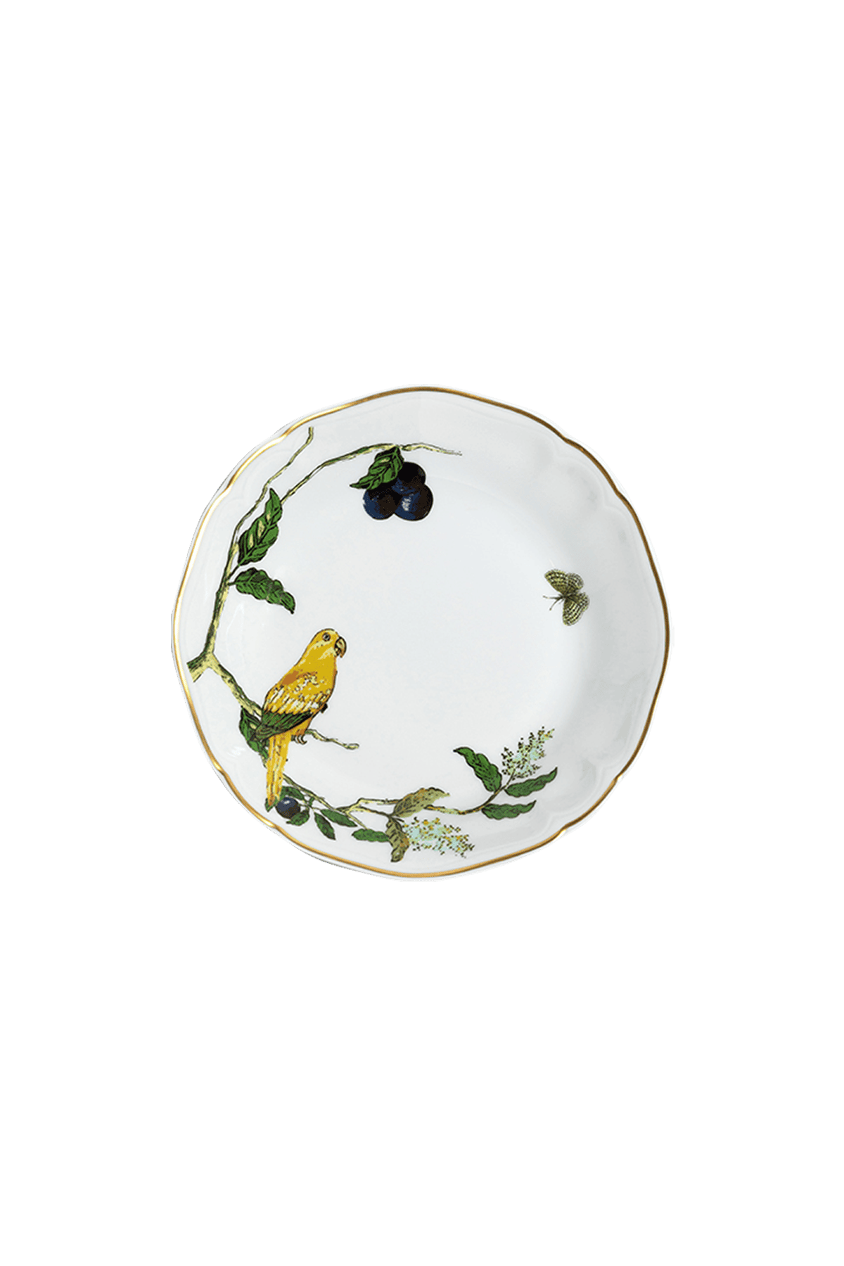 Soup Plate Passaros do Brasil (4)