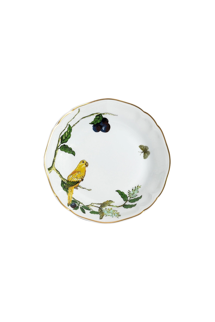 Assiette creuse Passaros do Brasil (4)