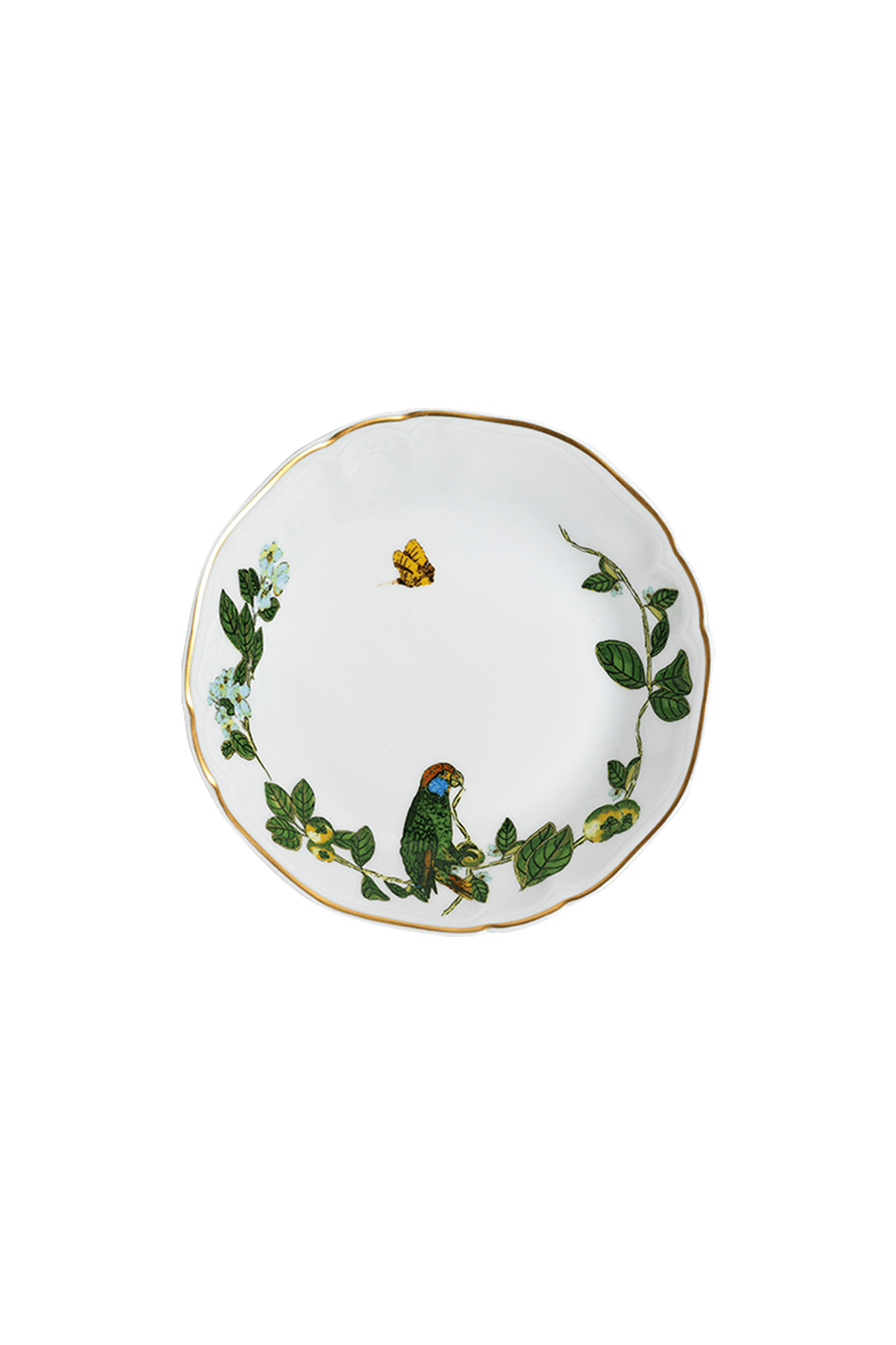 Soup Plate Passaros do Brasil (4)