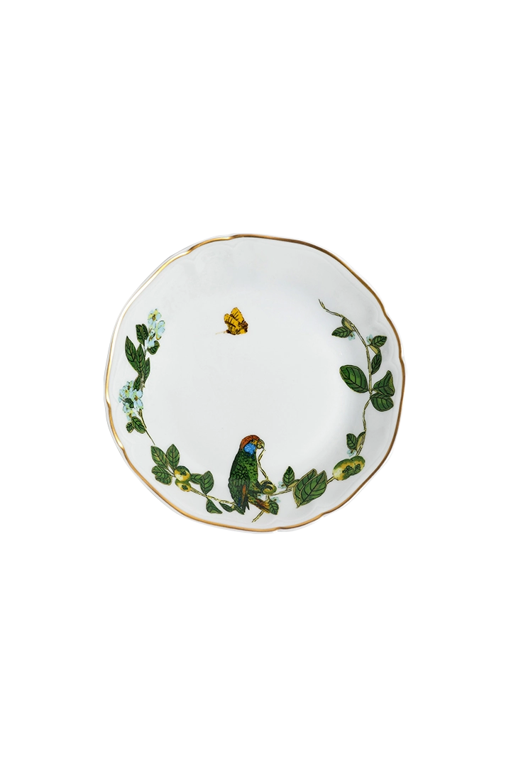 Assiette creuse Passaros do Brasil (4)