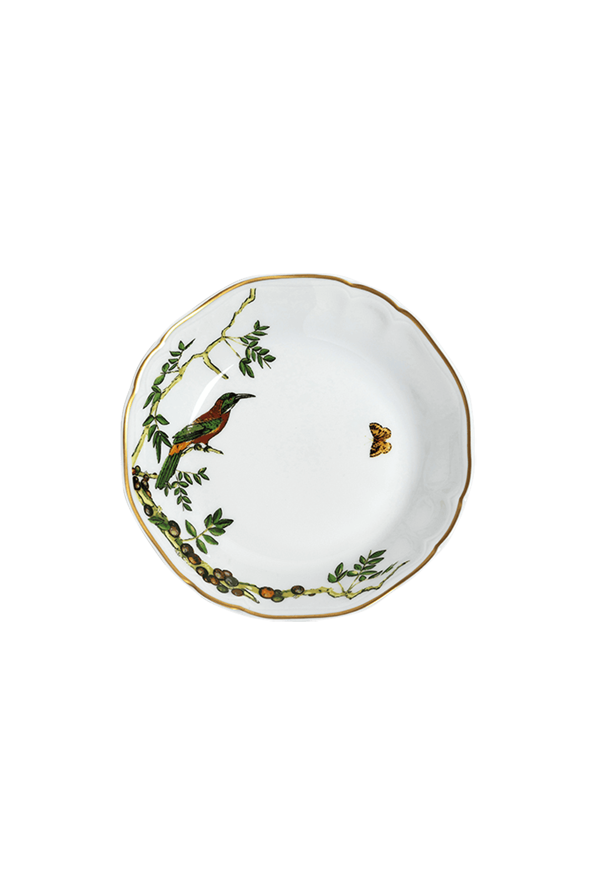 Soup Plate Passaros do Brasil (4)