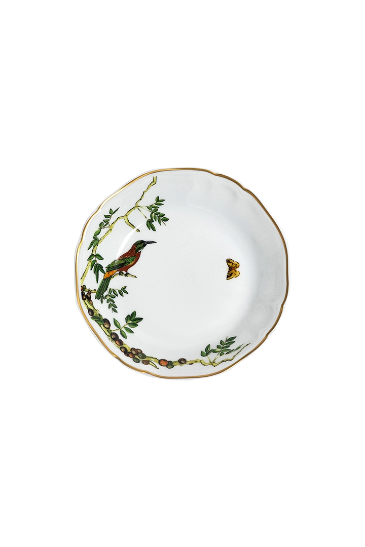Assiette creuse Passaros do Brasil (4)