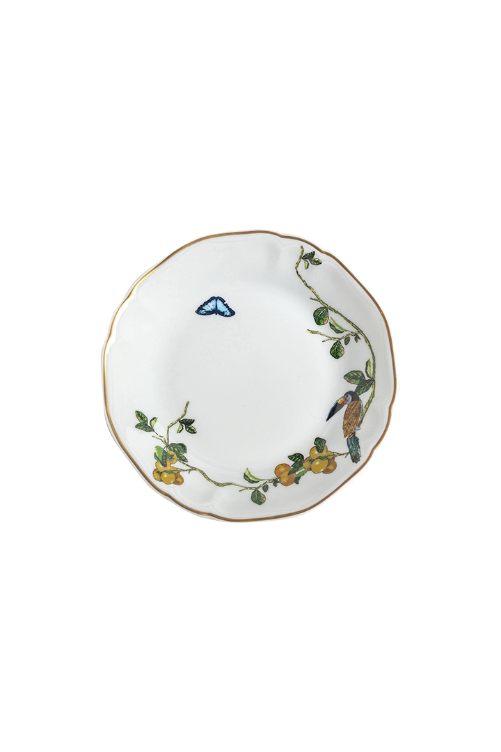Assiette creuse Passaros do Brasil (4)