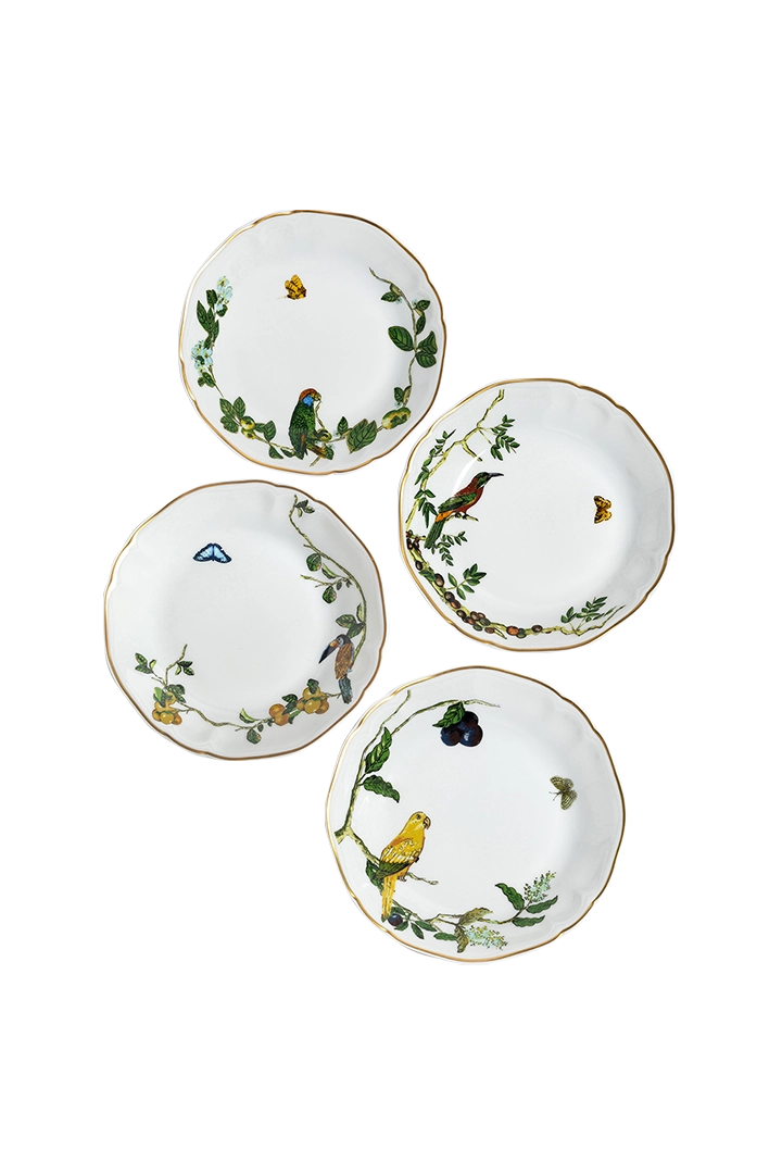 Soup Plate Passaros do Brasil (4)