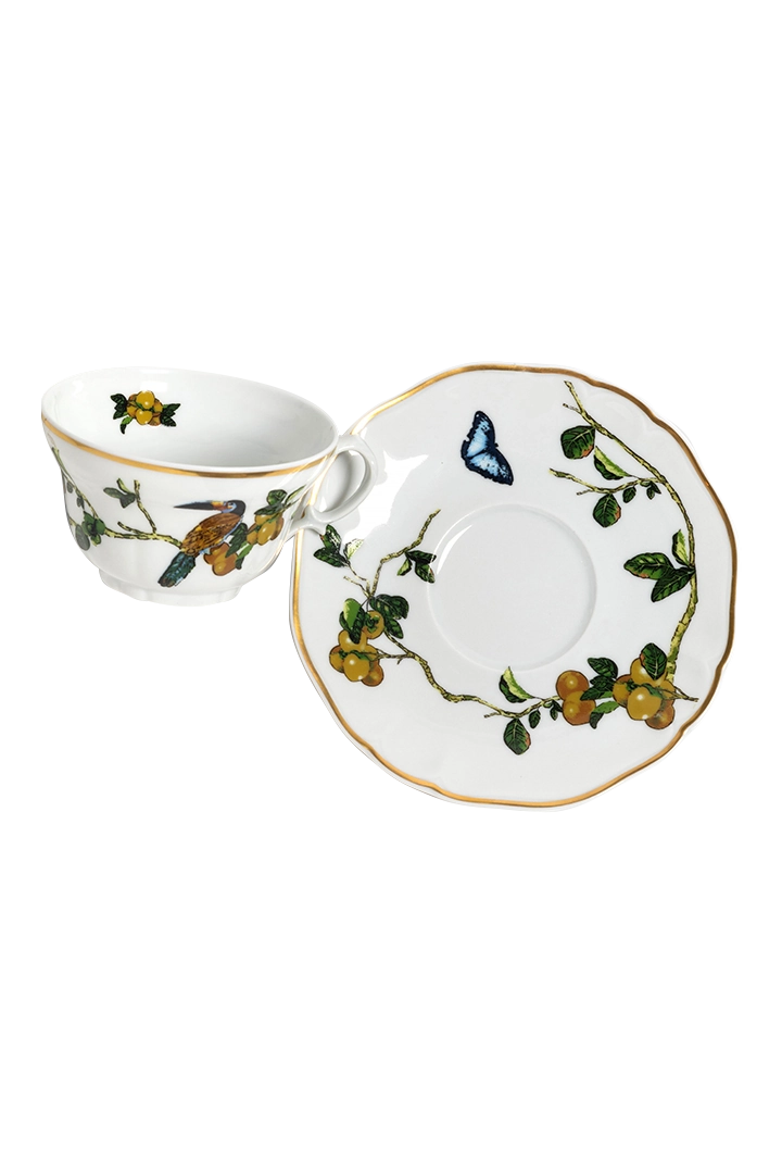 Tea Cup and Saucer Passaros do Brasil (4)