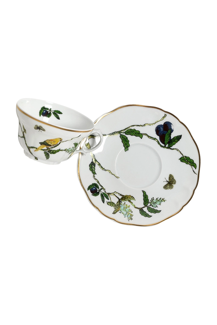 Tea Cup and Saucer Passaros do Brasil (4)