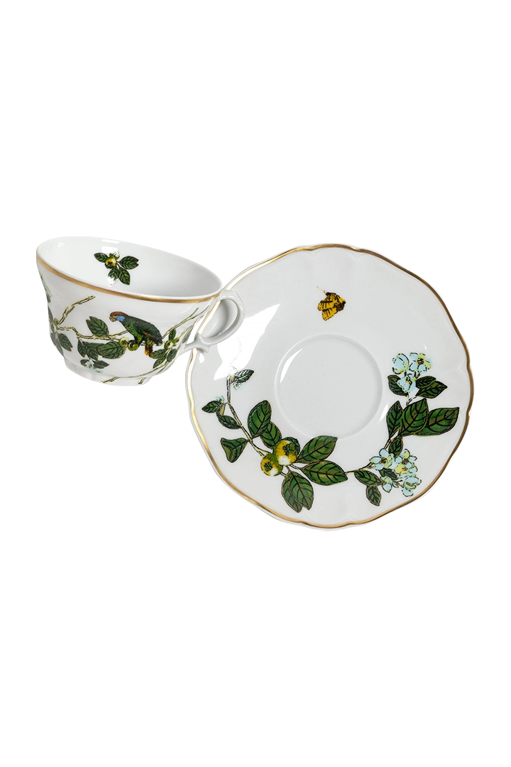 Tea Cup and Saucer Passaros do Brasil (4)