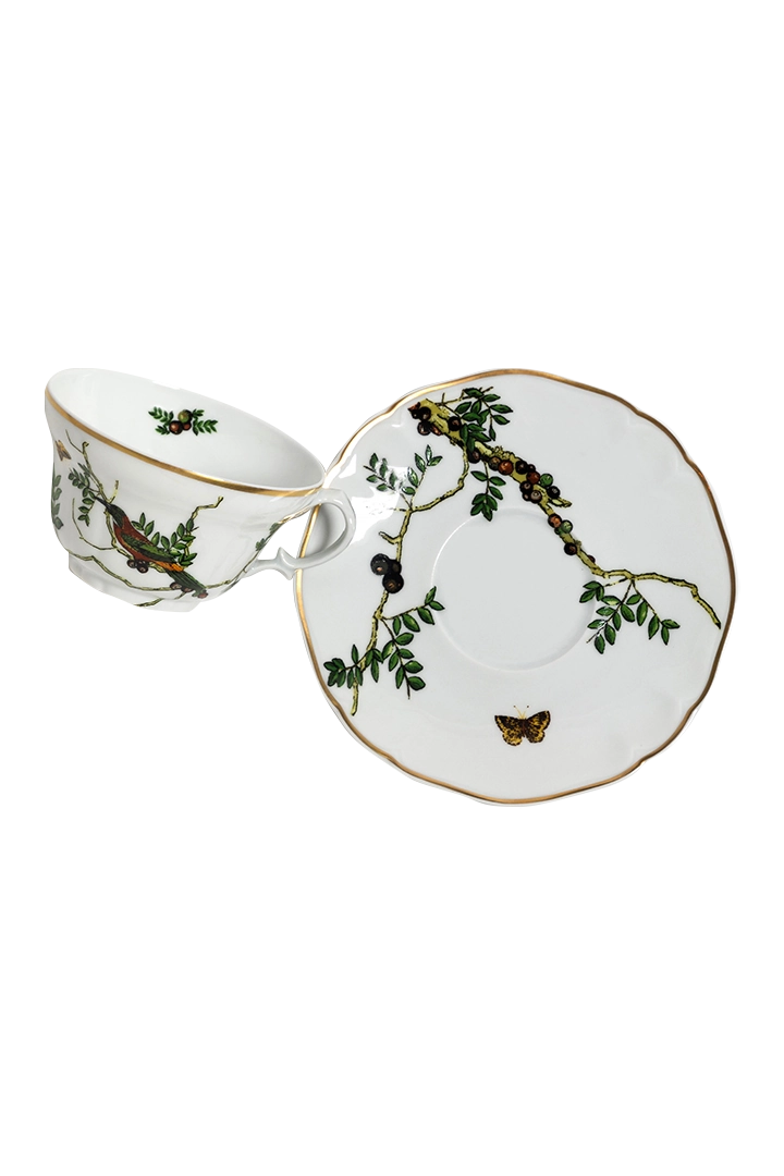 Tea Cup and Saucer Passaros do Brasil (4)