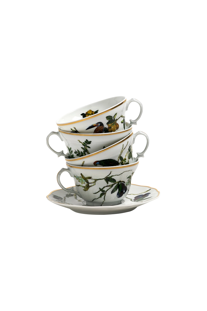 Tea Cup and Saucer Passaros do Brasil (4)