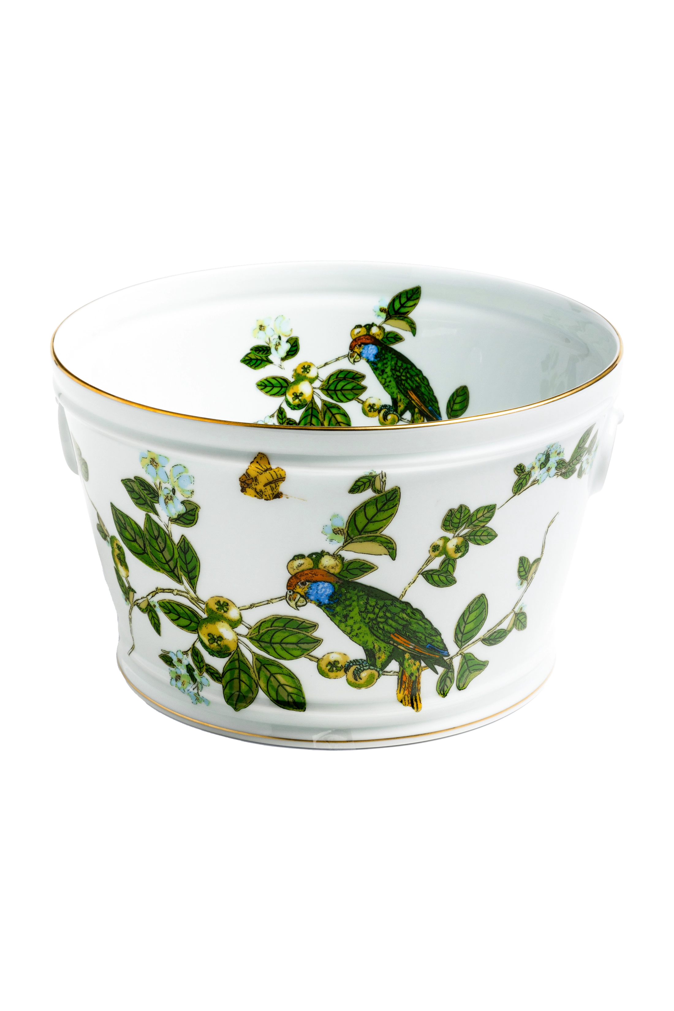 Cachepot Passaros do Brasil Aratinga