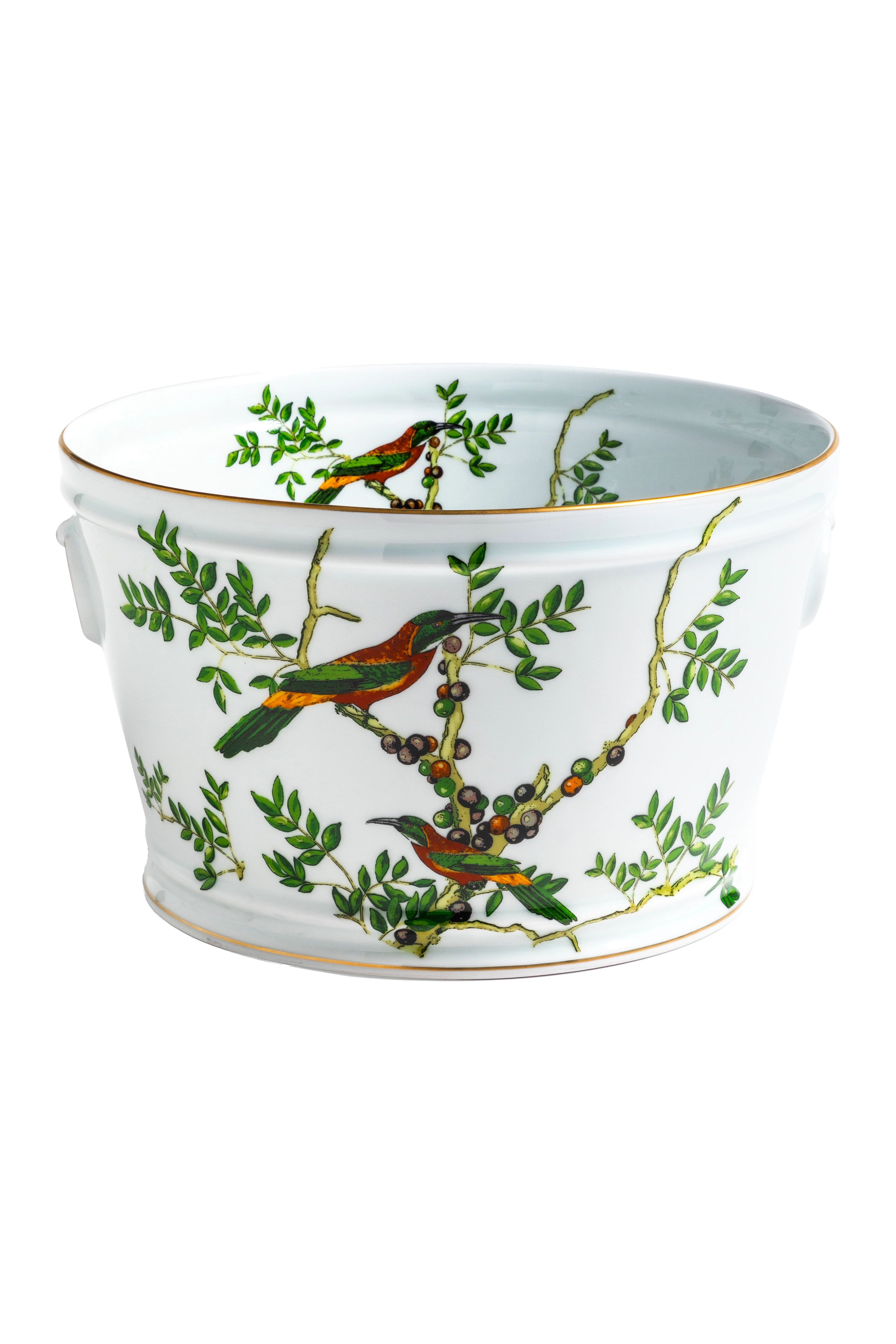 Cachepot Passaros do Brasil Uirapiana
