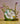 Espresso Cup and Saucer Borboleta (6)
