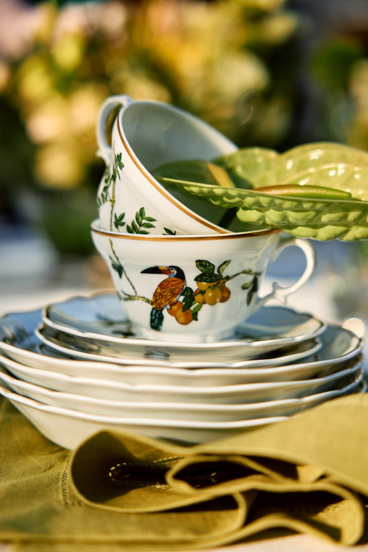 Tea Cup and Saucer Passaros do Brasil (4)