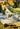 Tea Cup and Saucer Passaros do Brasil (4)
