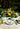 Dessert Plate Passaros do Brasil (4)