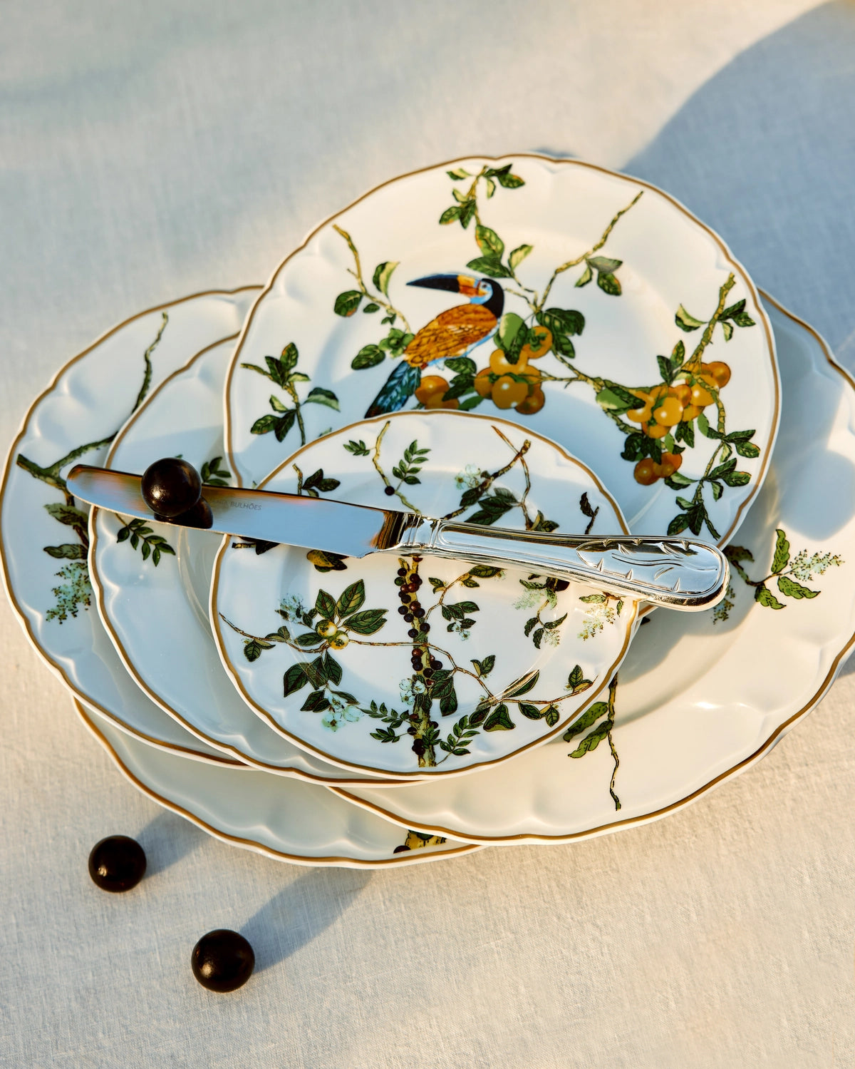 Soup Plate Passaros do Brasil (4)