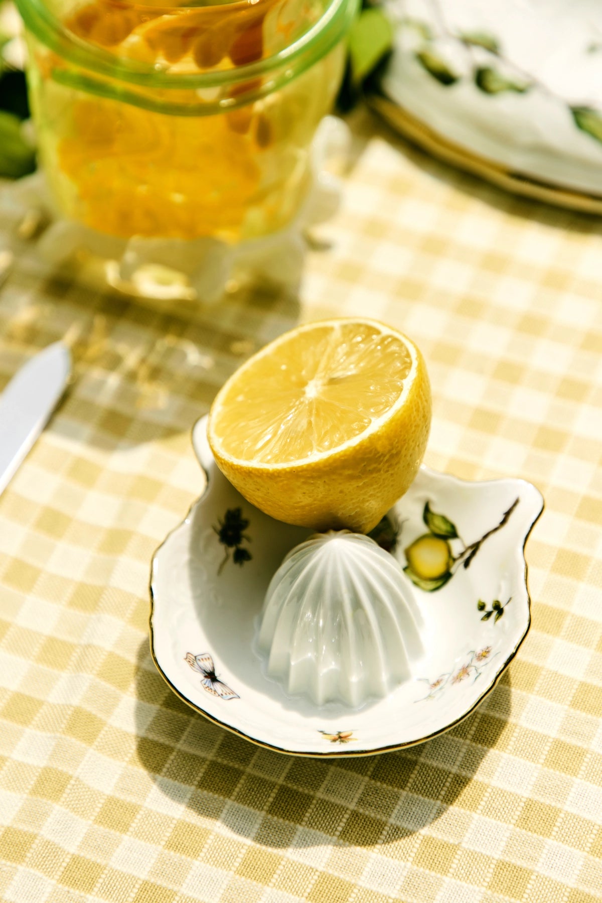 Citrus Juicer Limoeiro