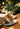 Tea Cup and Saucer Cravo e Canela