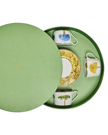 Tea Cup and Saucer Arvores do Brasil (4)