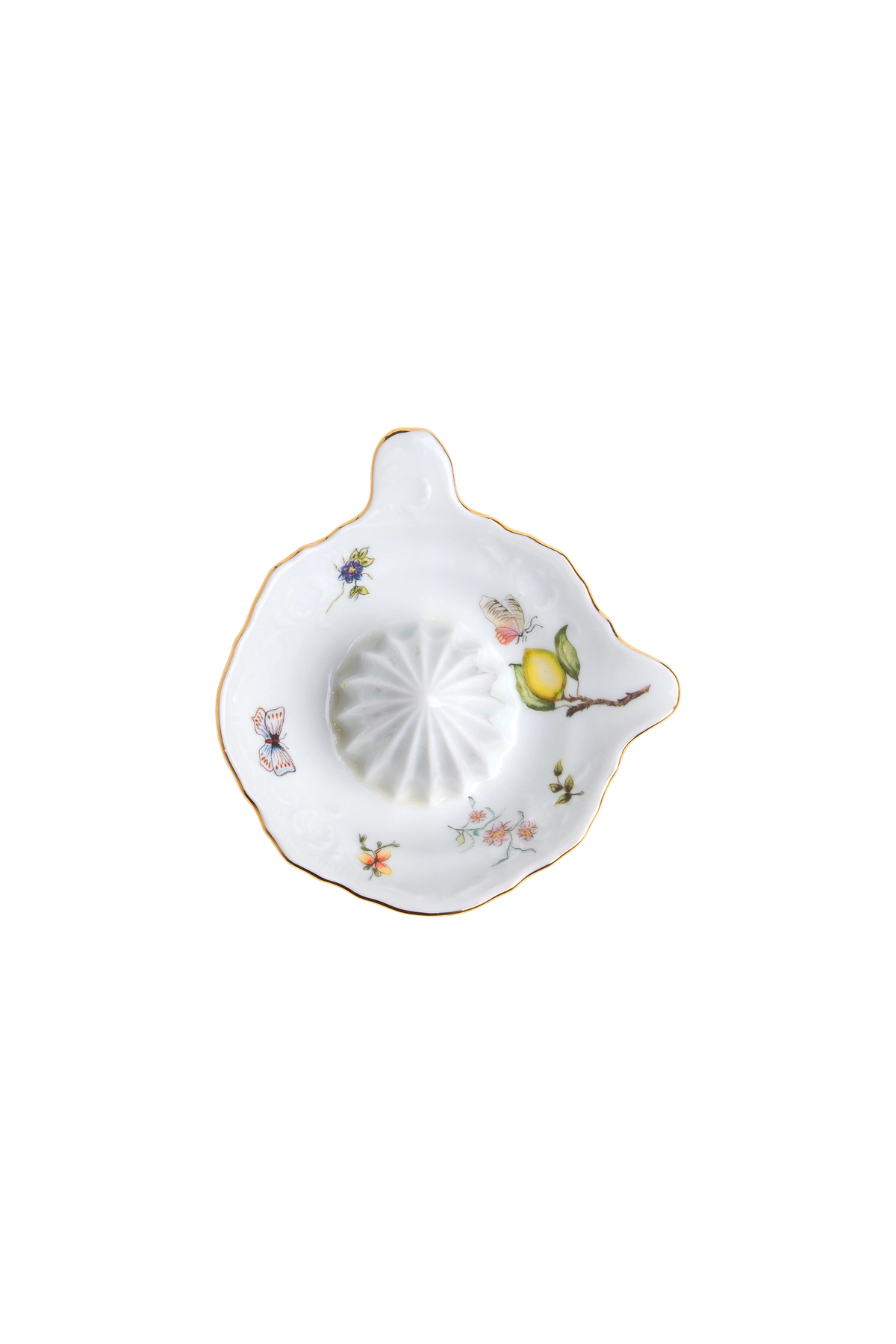 Citrus Juicer Limoeiro