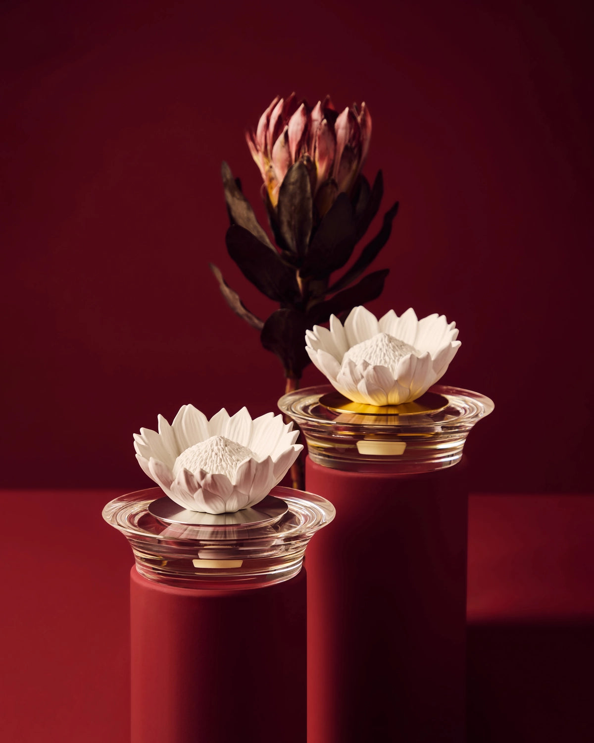Diffuser Protea